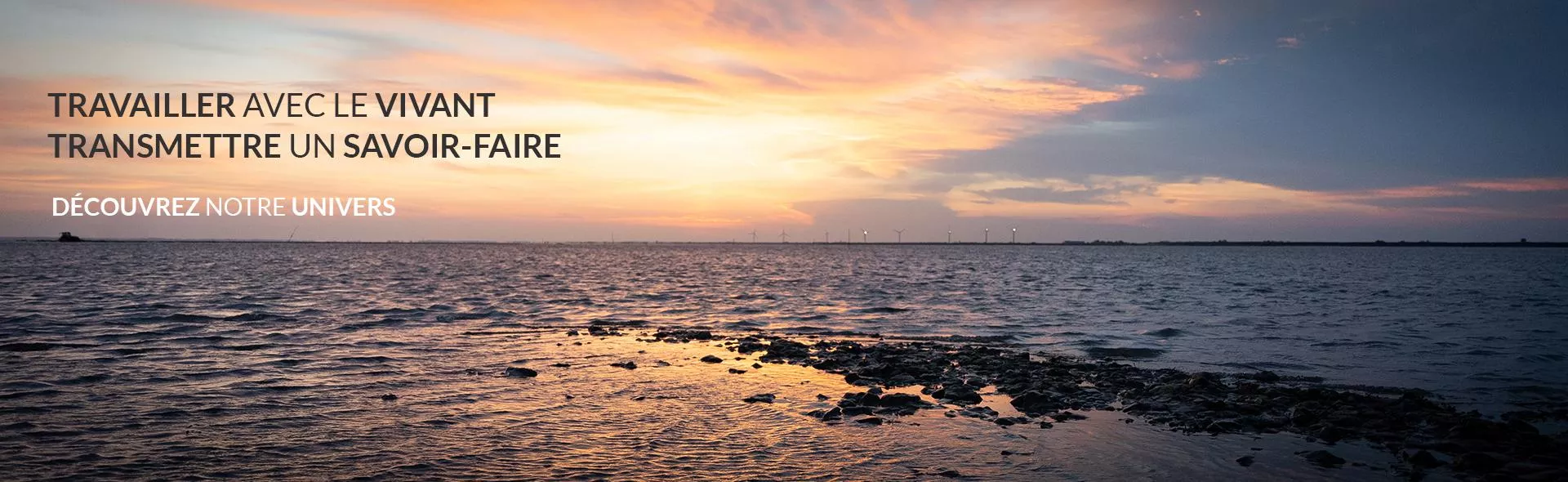 Travailler avec le vivant - Transmettre un savoir-faire Travailler avec le vivant - Transmettre un savoir-faire