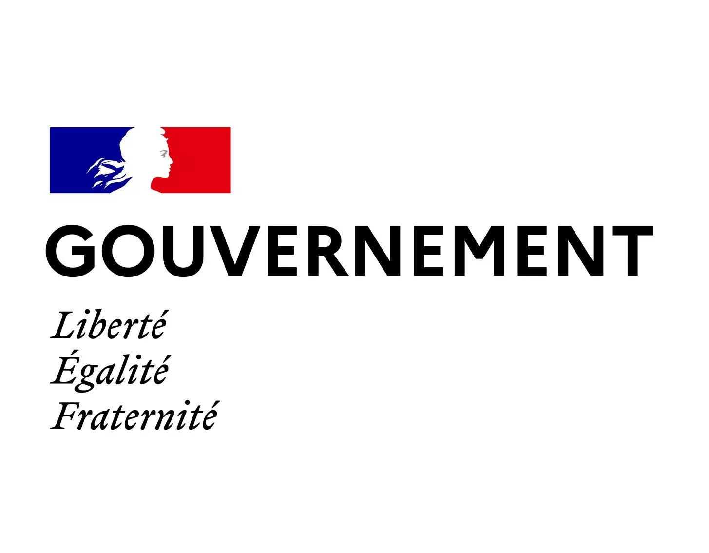 Gouvernement français