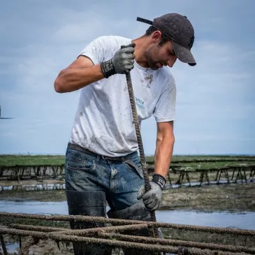 Ouvrier ostréicole