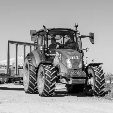 Des jeunes de la MFR de Challans s'initient à la conduite de tracteur chez France Naissain
