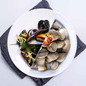 Coquillages conchyliculture