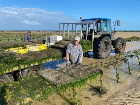 Ouvrier ostréicole